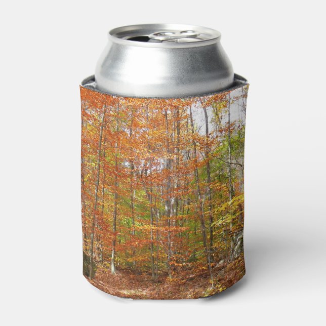 Porta-lata Pista de queda à luz do sol no Laurel Hill Park (Can Front)