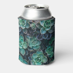 Porta-lata Plantas azuis verdes do Succulent
