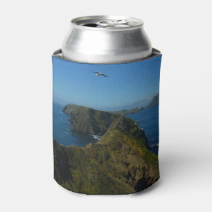 Porta-lata Ponto de Inspiração de Anacapa I nas Ilhas do Cana