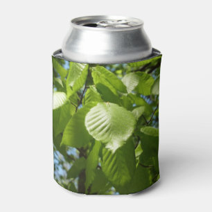 Porta-lata Primavera Birch deixa árvore verde