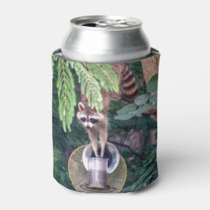 Porta-lata Raccoon Raíndo o Alimentador de Aves