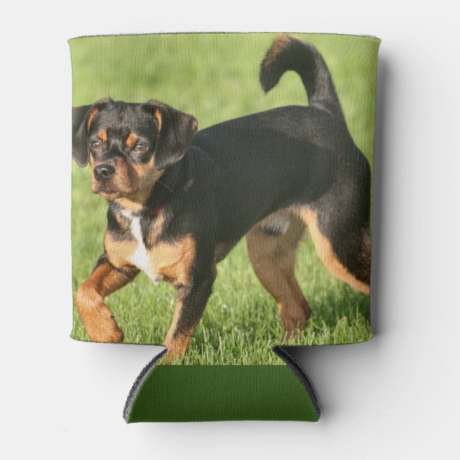 Porta-lata Rascal (Frente)