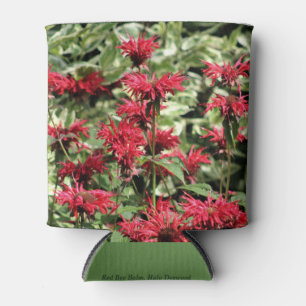 Porta-lata Red Bee Balm & Halo Dogwood