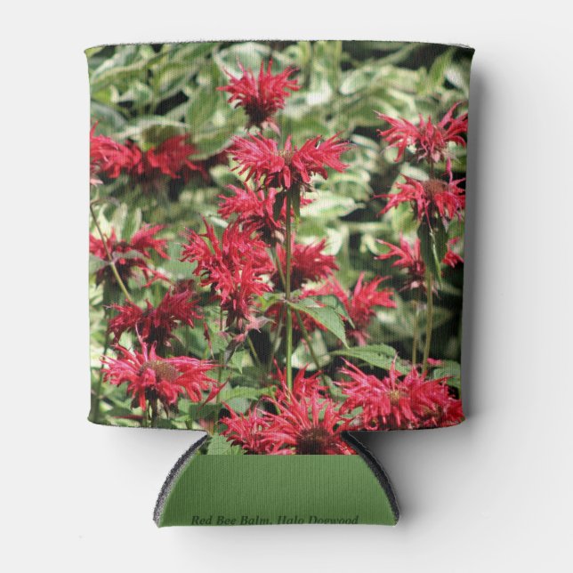 Porta-lata Red Bee Balm & Halo Dogwood (Frente)