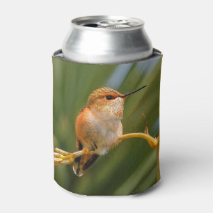 Porta-lata Rufous Hummingbird no Resto