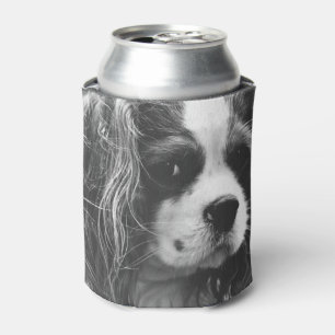 Porta-lata Spaniel de rei Charles descuidado