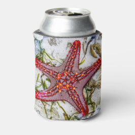 Porta-lata Starfish, Zanzibar, Tanzânia