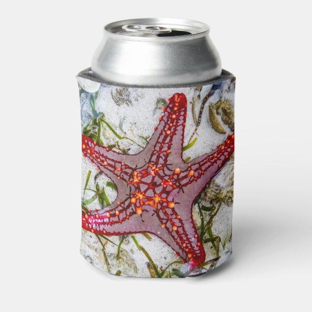 Porta-lata Starfish, Zanzibar, Tanzânia (Can Back)