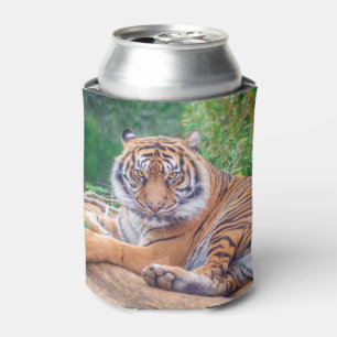 Porta-lata Tigre de Recirculação Relaxado