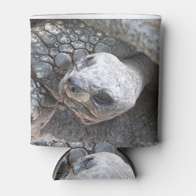Porta-lata Tortoise Face (Frente)