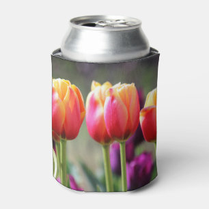 Porta-lata Tulipas de queda Achama
