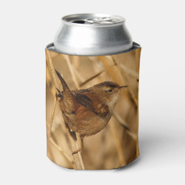 Porta-lata Um belo Marsh Wren em... onde mais?