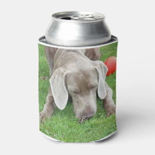 Porta-lata weim w butterfly.png
