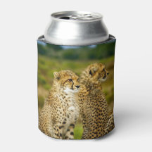 Wildlife Cheetah Photo