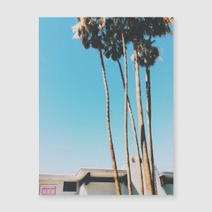 Porta Rosa Da Magneta De Primaveras De Palma