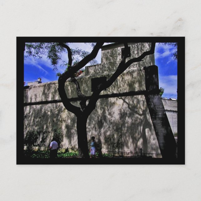 (Portugal) Funchal, cartão postal Madeira (Frente)