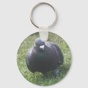 Posicionando Chaveiro Pigeon