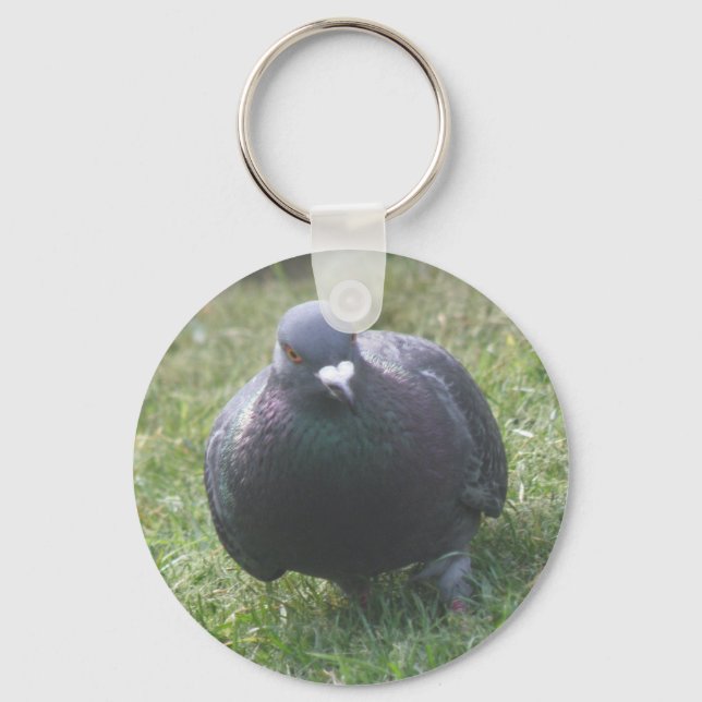 Posicionando Chaveiro Pigeon (Frente)