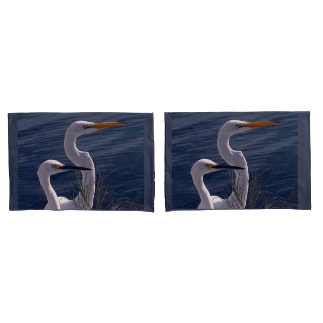 Posicionando Egrets (Frente - conjunto)
