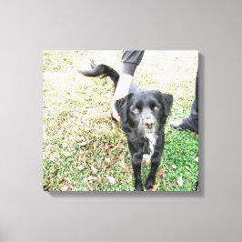 Possibilidades de Fumaça para Impressão de Tela de