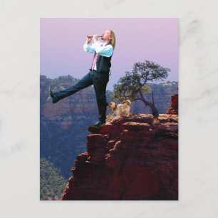 Postal A Arte Do Cartão De Tarô Tolo