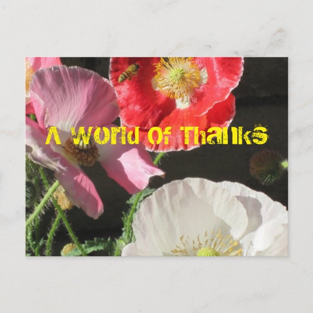 Postal Abelha No Cartão De Posto Poppies (Frente)
