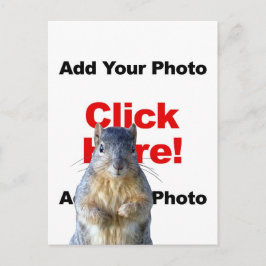 Postal Adicionar um Esquilo Personalizado Foto Cartão Pos