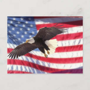 Postal Americano Eagle e cartão da bandeira