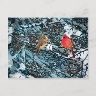 Postal Amor do inverno, cartão