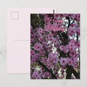 Postal Árvore florida de primavera rosa, cartão de aniver
