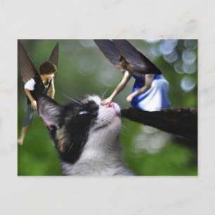 Postal As Fairys e o Cartão de Posto Kitty Cat
