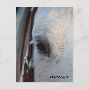 Postal Através do Olho de um Cartão de Posto Cavalo