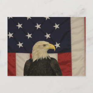 Postal Bandeira Americana e Cartão de Posto da Águia Bald