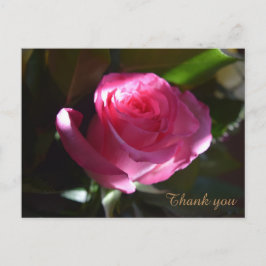 Postal Belo cartão rosa rosa