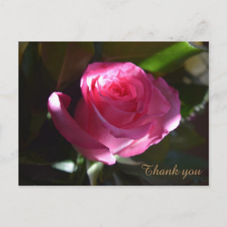 Postal Belo cartão rosa rosa