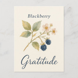 Postal Blackberry — Cartão de Gratidão