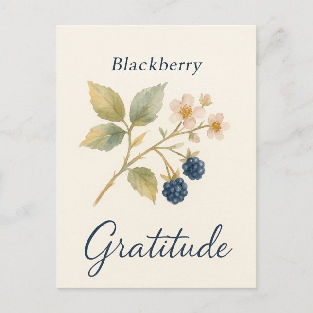 Postal Blackberry — Cartão de Gratidão (Frente)