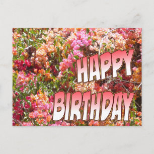 Postal Bougainvillea Cartão de Aniversário Rosa