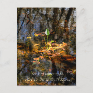 Postal Busca a compreender, para não ser cartão