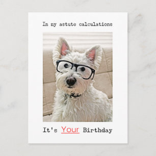 Postal Cálculo do Westie, é seu aniversário, cartão posta