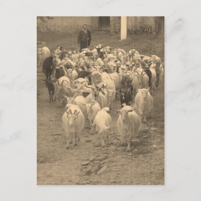 Postal Cartão (Frente)