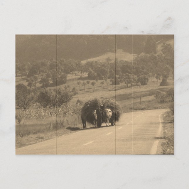 Postal Cartão (Frente)