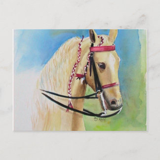 Postal Cartão