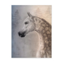Cartão árabe do cavalo