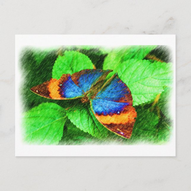 Postal Cartão azul da arte do lápis da borboleta (Frente)