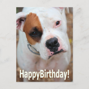 Postal Cartão Boop Birthday