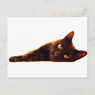 Postal Cartão Cat