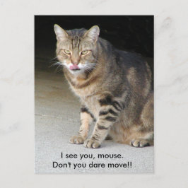 Postal Cartão com fome do gato