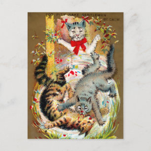 Postal Cartão Comercial Frears Cat. 4 (de 6)