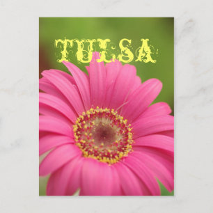 Postal Cartão cor-de-rosa da margarida do Gerbera de